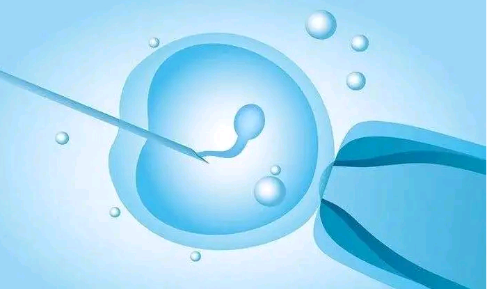 广州三代试管代孕技术|泰国嗣道的成功率高吗试管婴儿促排卵方案选择