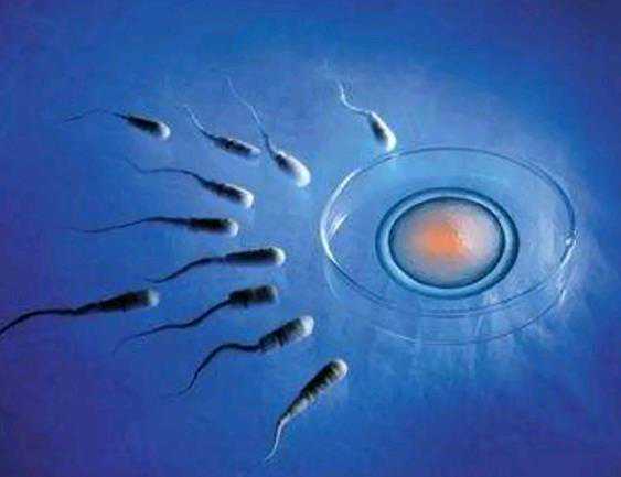 广州代怀靠谱中介|内蒙古自治区2022年最新供卵试管助孕医院排名-内附内蒙古供