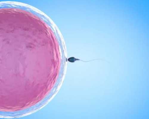 广州代孕网排名|试管婴儿第一代对男性精子要求是怎样的