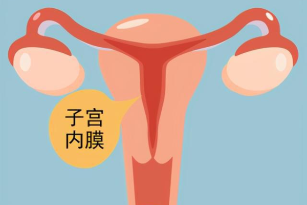 <b>广州试管婴儿费用是多少？具统计在3~10万左右（附费用明细）</b>